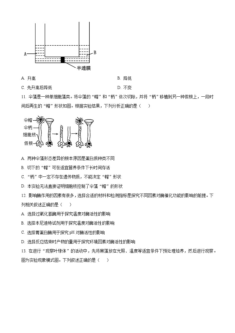 浙江省强基联盟2023-2024学年高一上学期12月月考生物试题（Word版附解析）03