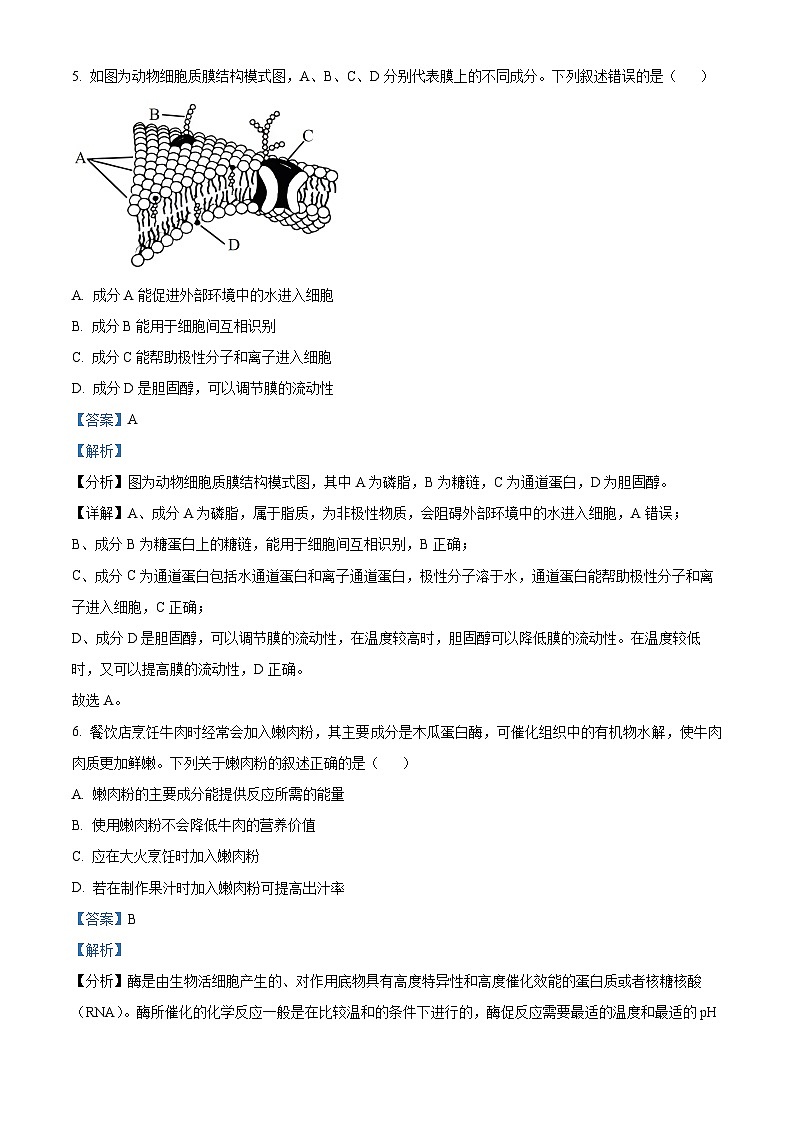 浙江省浙江省强基联盟2023-2024学年高一12月月考生物试题（Word版附解析）03