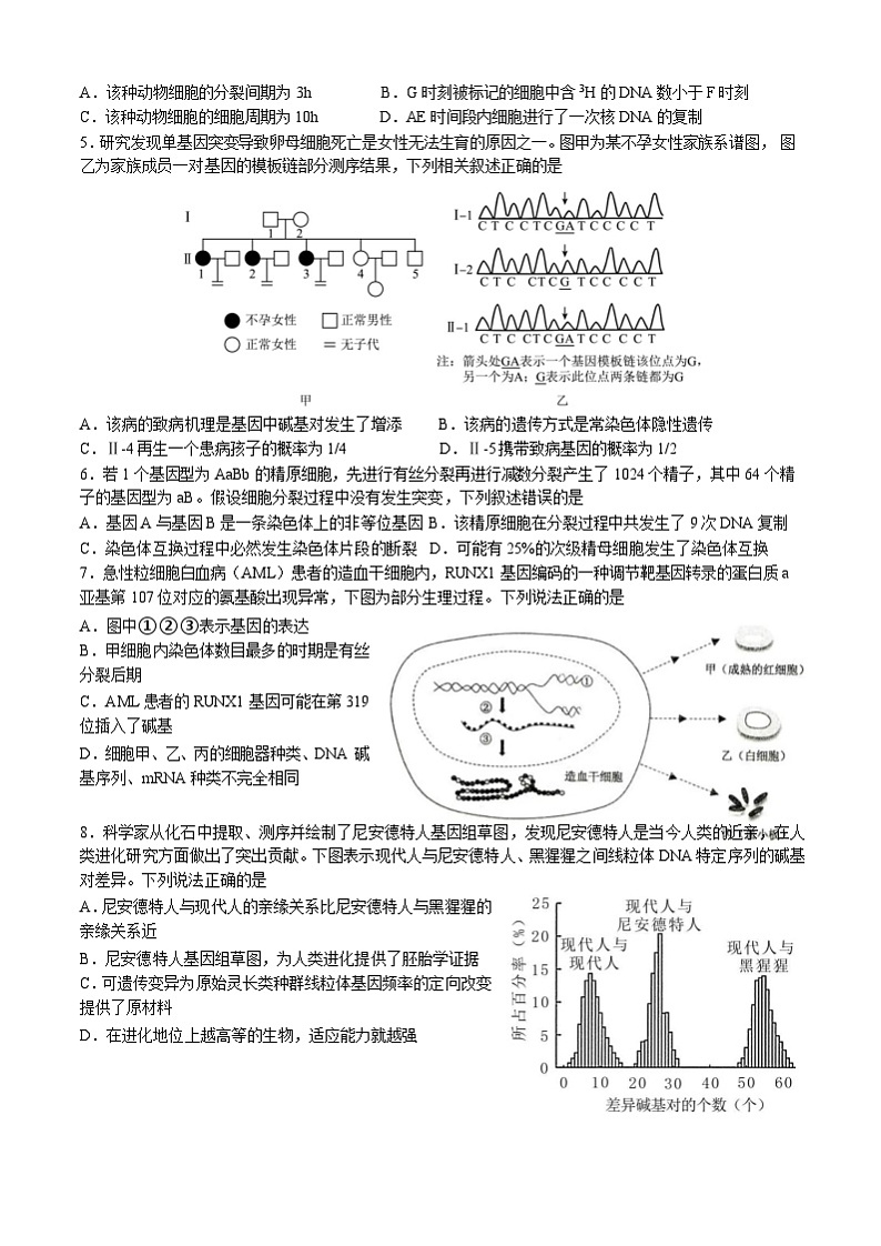 山东省济宁市第一中学2023-2024学年高三上学期12月月考生物试题（Word版附答案）02
