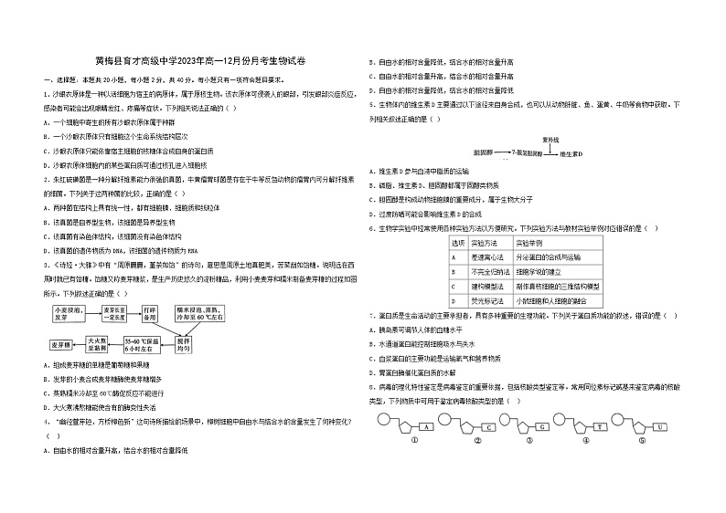 湖北省黄梅国际育才高级中学2023-2024学年高一上学期12月月考生物试题第1页
