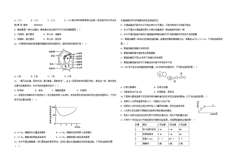 湖北省黄梅国际育才高级中学2023-2024学年高一上学期12月月考生物试题第2页