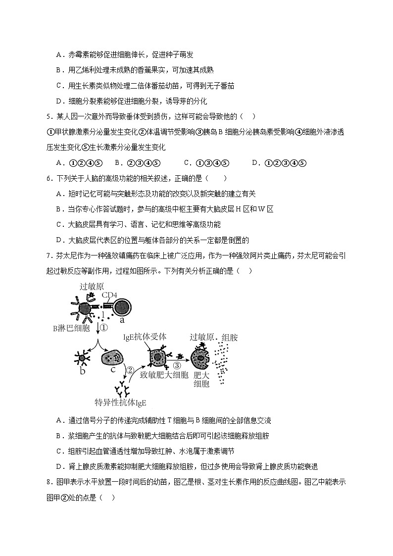 四川省广安市育才学校2023-2024学年高二上学期12月月考生物试题02