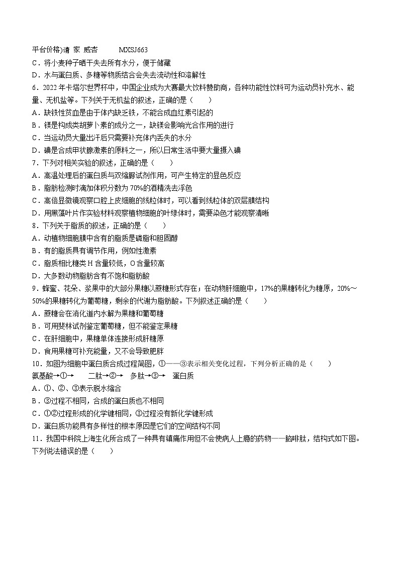 四川省绵阳市三台中学校2023-2024学年高一上学期期末适应性考生物试题第2页