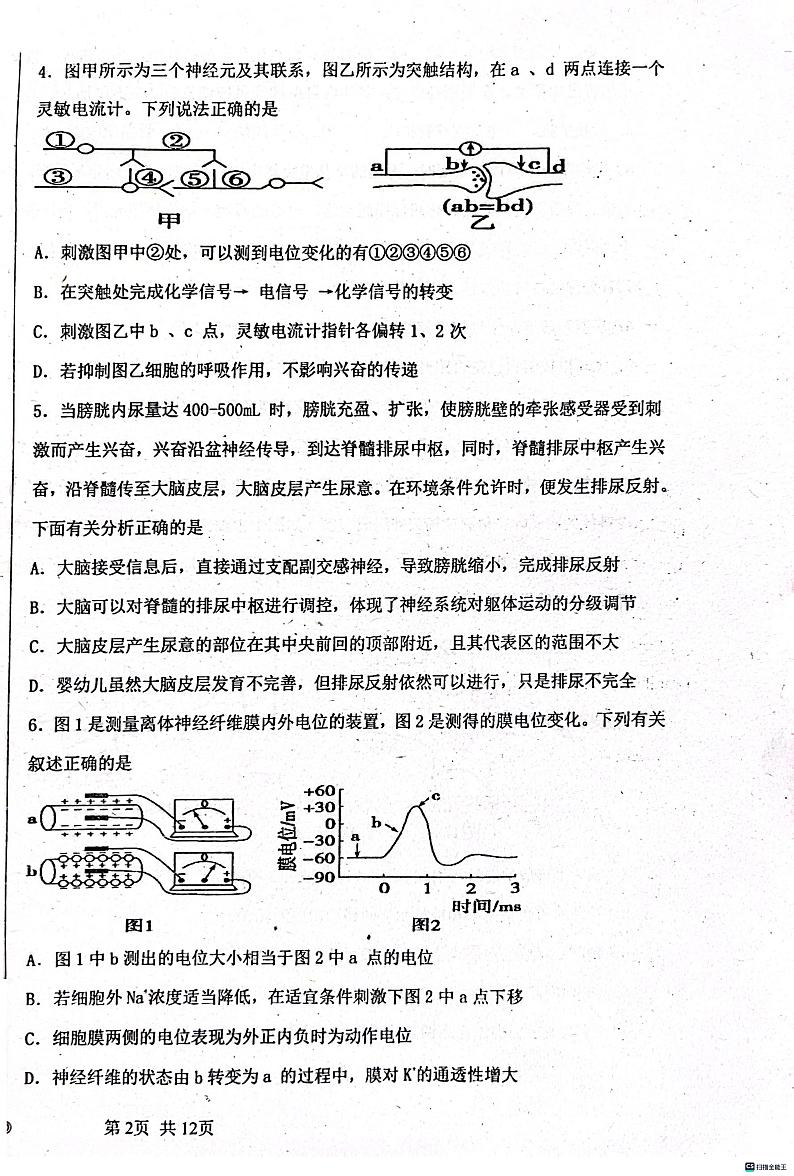 河南省信阳市商城县石桥中学2023-2024学年高二上学期12月月考生物试题第2页