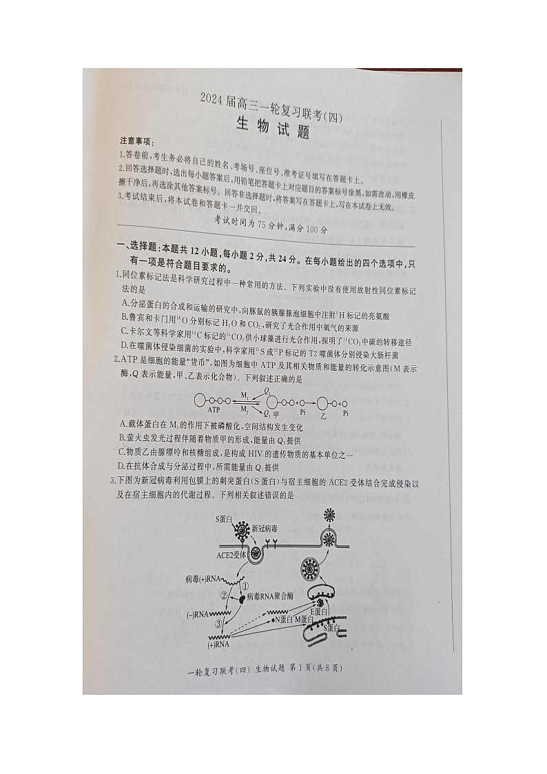 湖南省部分学校2023-2024学年高三上学期12月一轮复习联考（四）生物试题第1页