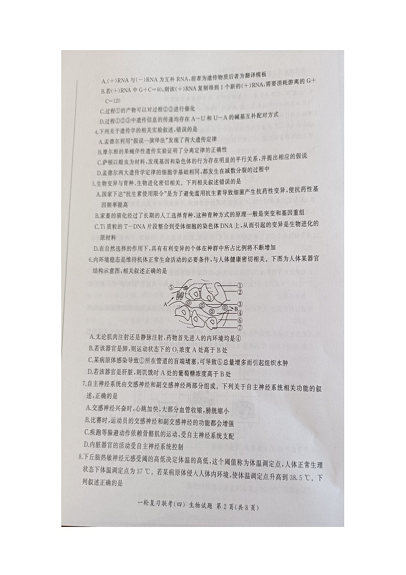 湖南省部分学校2023-2024学年高三上学期12月一轮复习联考（四）生物试题第2页