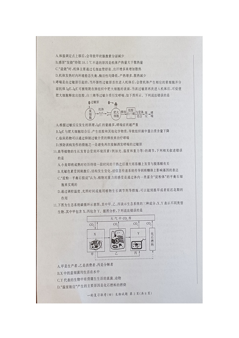 湖南省部分学校2023-2024学年高三上学期12月一轮复习联考（四）生物试题第3页