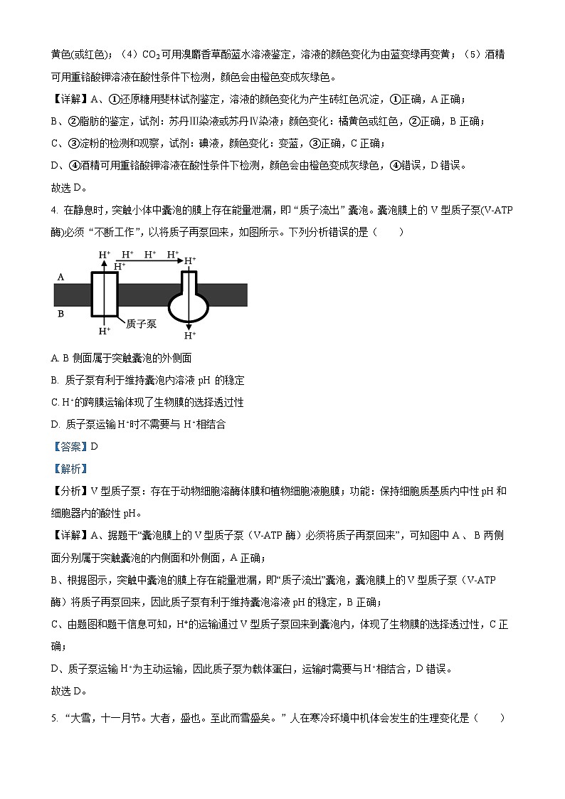 精品解析：2024届贵州省黔东南苗族侗族自治州高三一模生物试题（解析版）第3页
