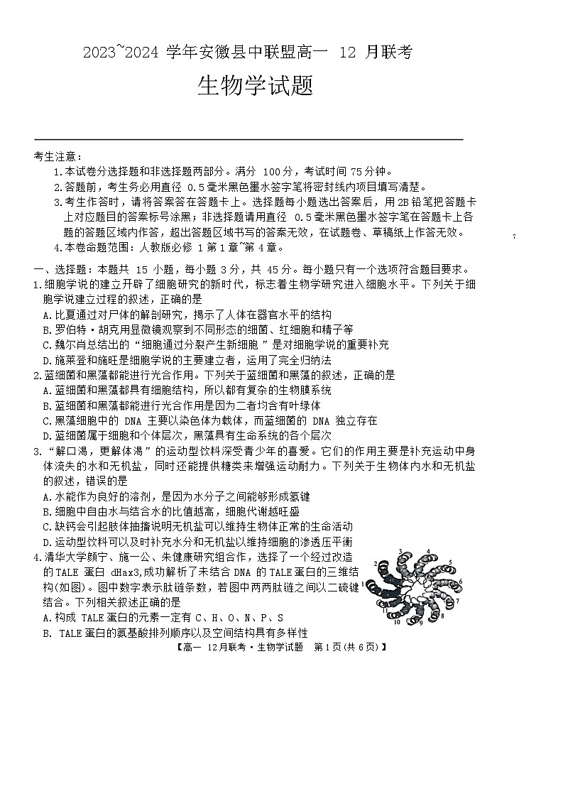 2024安徽省县中联盟高一上学期12月月考试题生物含解析01