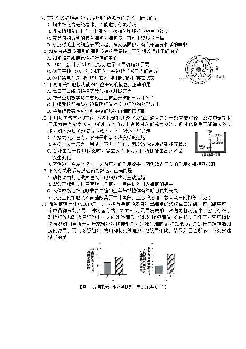 2024安徽省县中联盟高一上学期12月月考试题生物含解析03