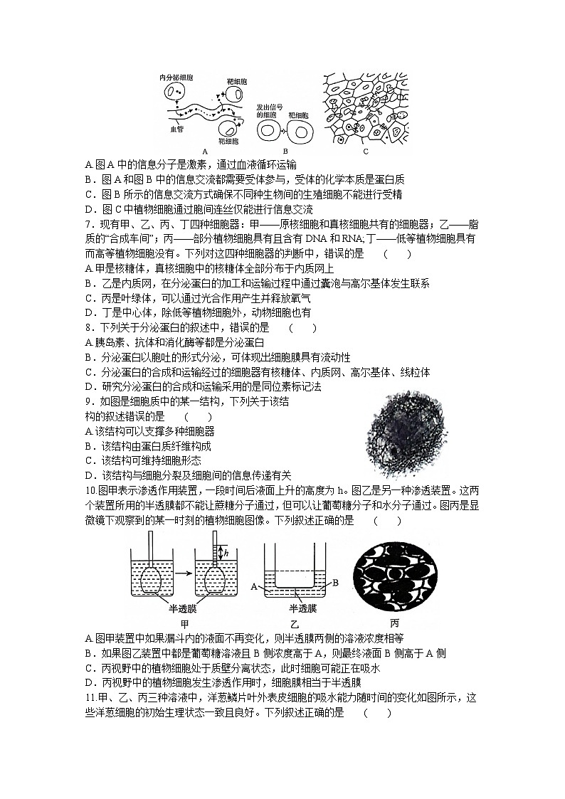 2024河南省青桐鸣大联考高一上学期12月月考试题生物含解析02