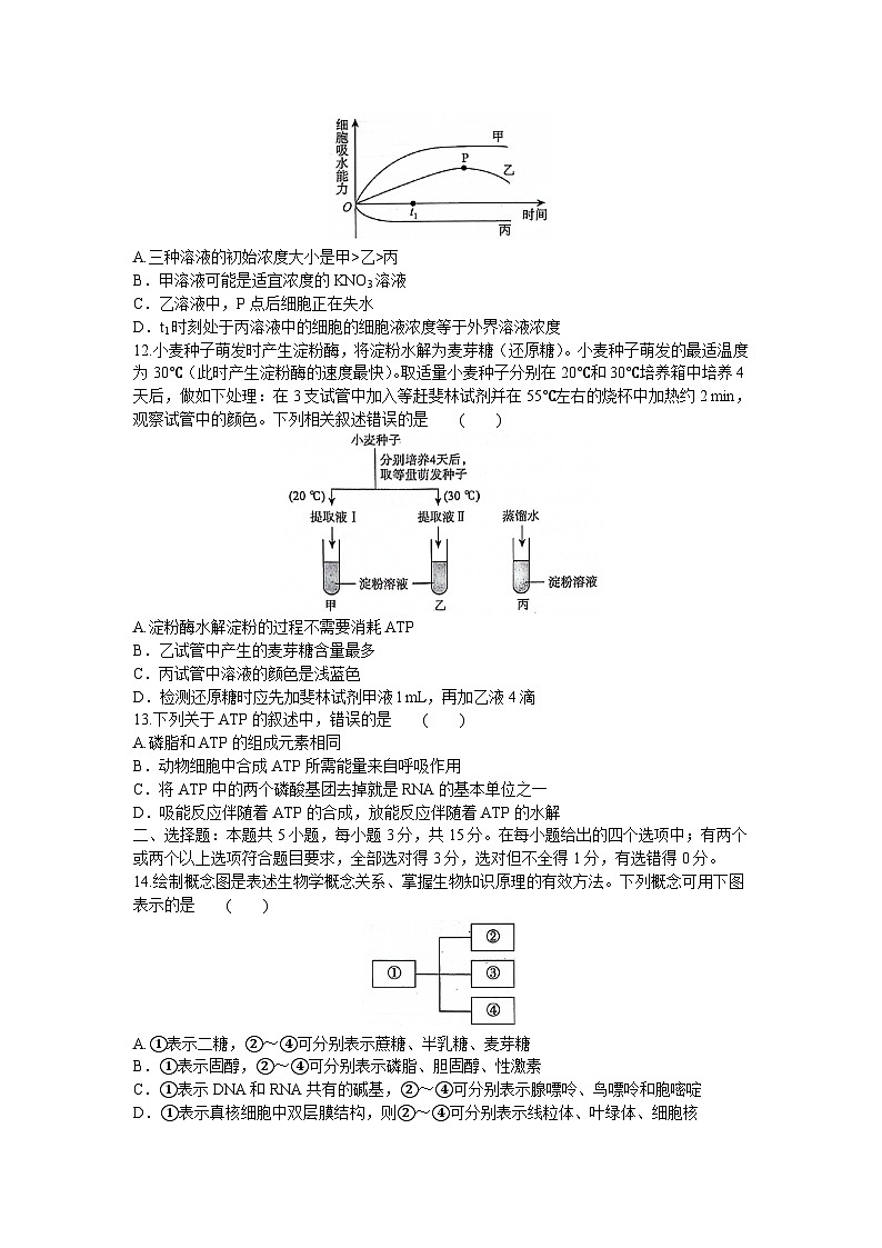2024河南省青桐鸣大联考高一上学期12月月考试题生物含解析03