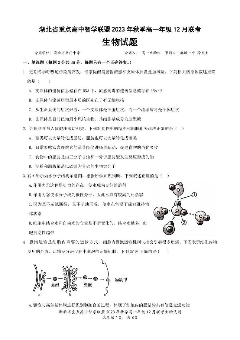 2024湖北省重点高中智学联盟高一上学期12月联考试题生物PDF版含答案第1页