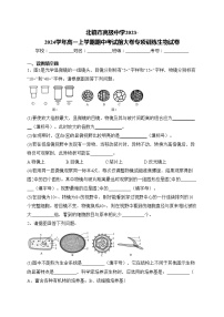 北镇市高级中学2023-2024学年高一上学期期中考试前大卷专项训练生物试卷(含答案)