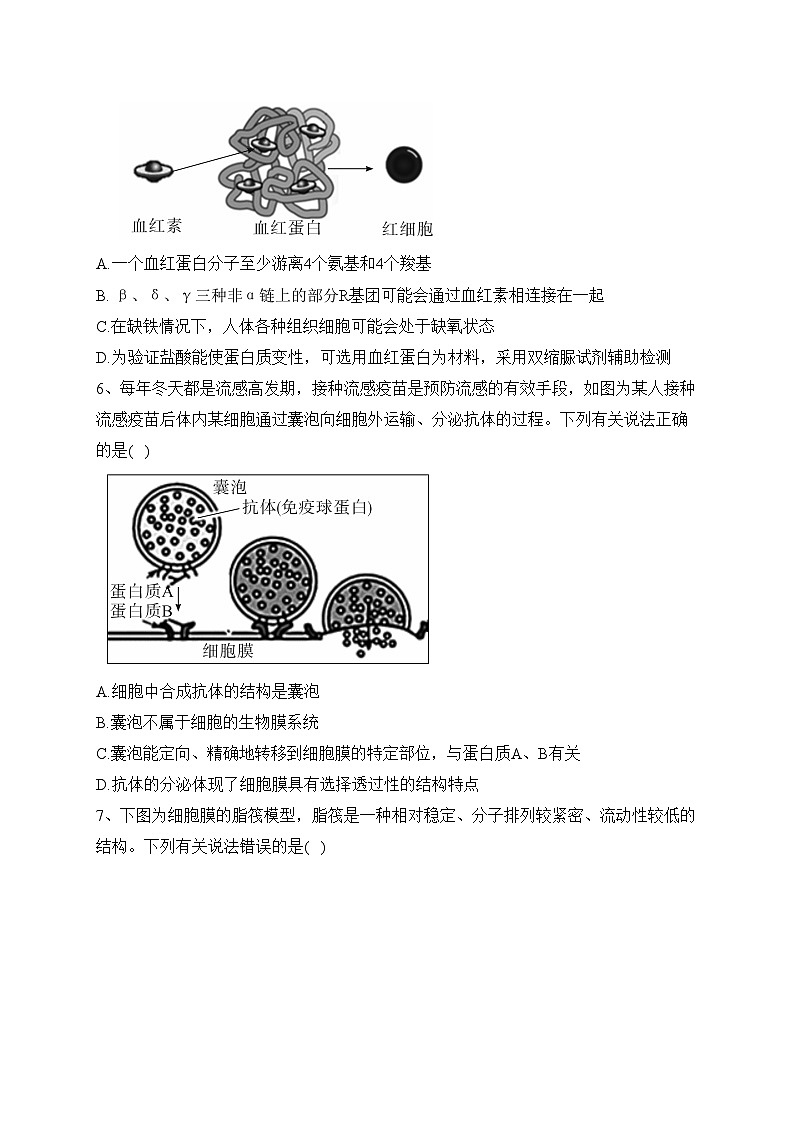 湖北省荆州市八县市2022-2023学年高一上学期期末联考生物试卷(含答案)第2页