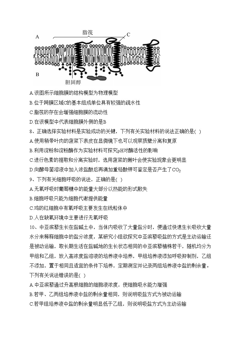 湖北省荆州市八县市2022-2023学年高一上学期期末联考生物试卷(含答案)第3页