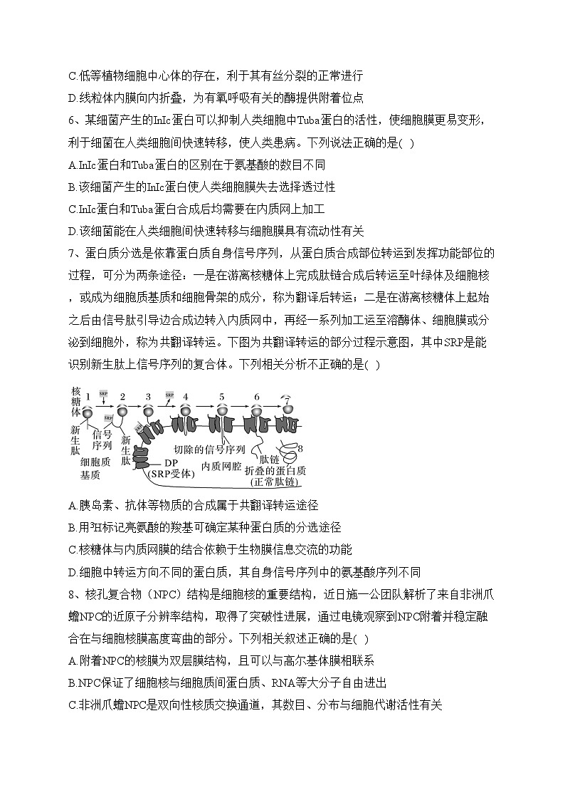 湖北省沙市中学2023-2024学年高一上学期11月月考生物试卷(含答案)第2页