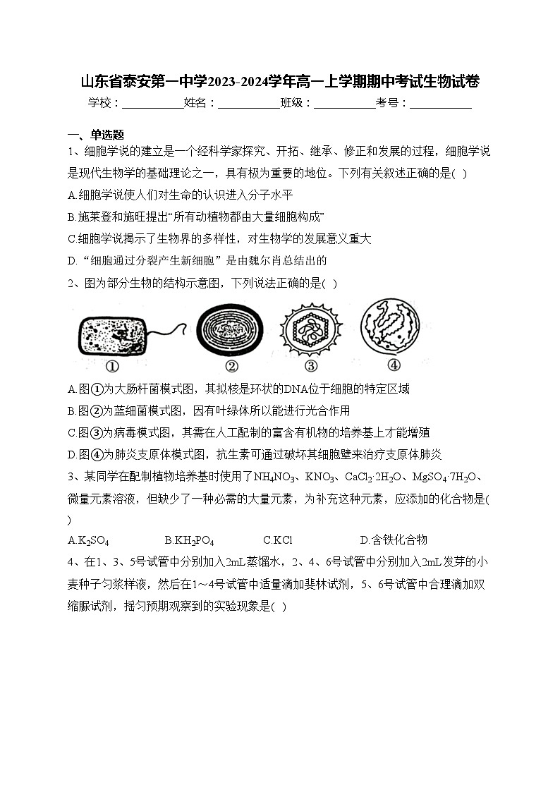 山东省泰安第一中学2023-2024学年高一上学期期中考试生物试卷(含答案)第1页