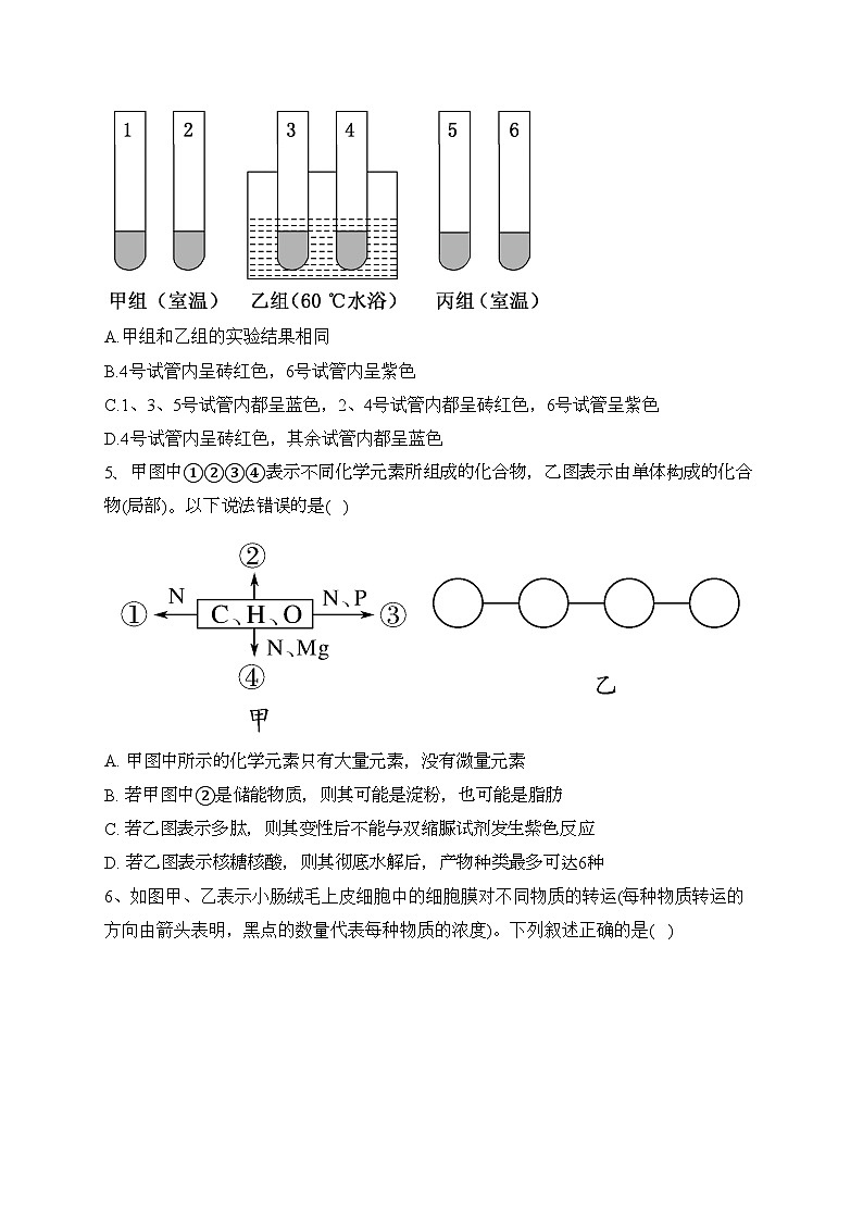 山东省泰安第一中学2023-2024学年高一上学期期中考试生物试卷(含答案)第2页