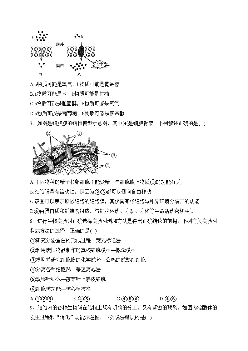 山东省泰安第一中学2023-2024学年高一上学期期中考试生物试卷(含答案)第3页