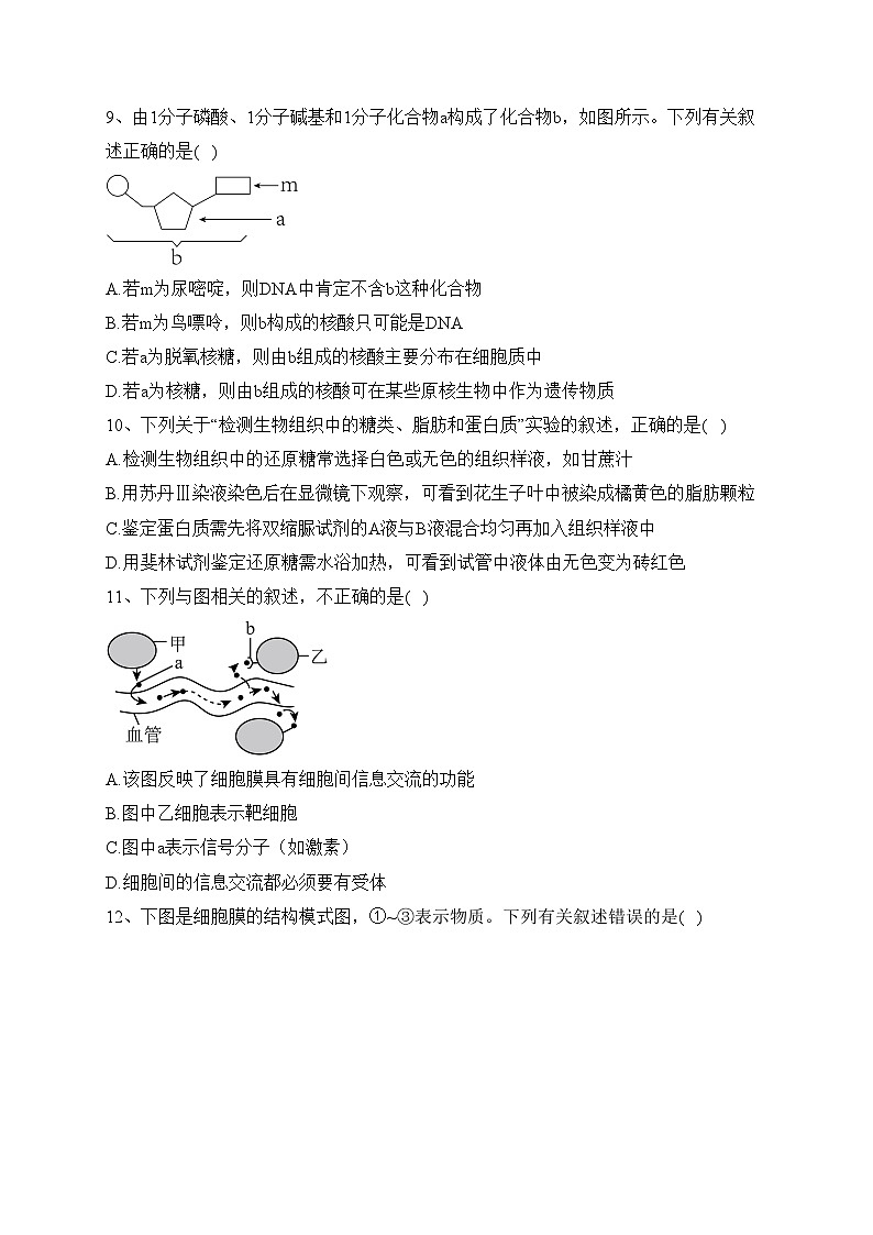 天津市宝坻区一中2022-2023学年高一上学期线上期末生物试卷(含答案)03