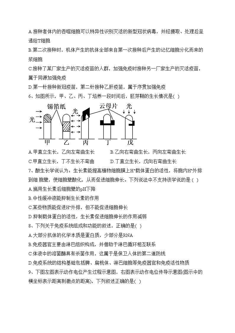 重庆市2023-2024学年高二上学期12月月度质量检测生物试卷(含答案)02