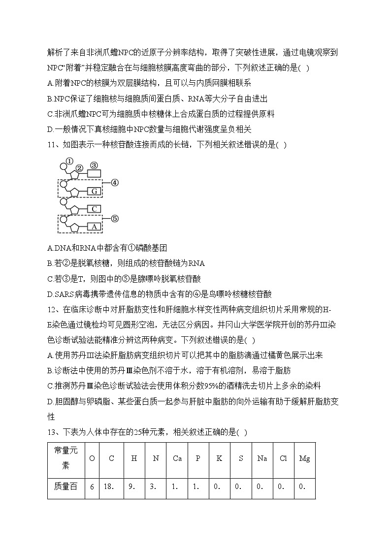 重庆市长寿中学校等七校2023-2024学年高一上学期半期联考生物试卷(含答案)03