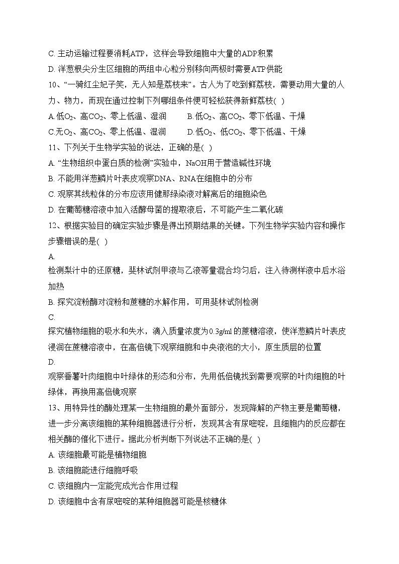 科尔沁左翼中旗实验高级中学2024届高三上学期第三次月考生物试卷(含答案)第3页