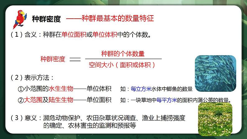 【名师特供】1.1 《种群的数量特征》 课件+练习（原卷+解析卷）06