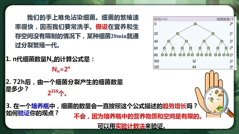 【名师特供】1.2.1 《种群数量的变化》 课件+练习（原卷+解析卷）03