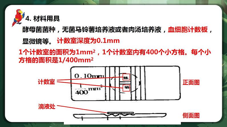 【名师特供】1.2.2 《培养液中酵母菌种群数量的变化》 课件+练习（原卷+解析卷）04