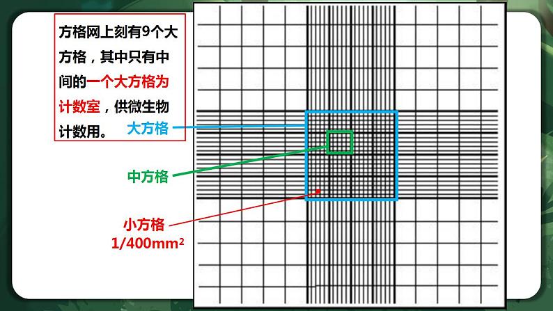 【名师特供】1.2.2 《培养液中酵母菌种群数量的变化》 课件+练习（原卷+解析卷）06