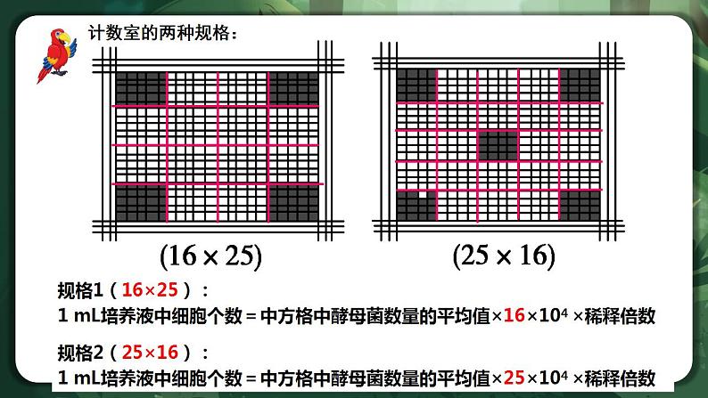 【名师特供】1.2.2 《培养液中酵母菌种群数量的变化》 课件+练习（原卷+解析卷）08