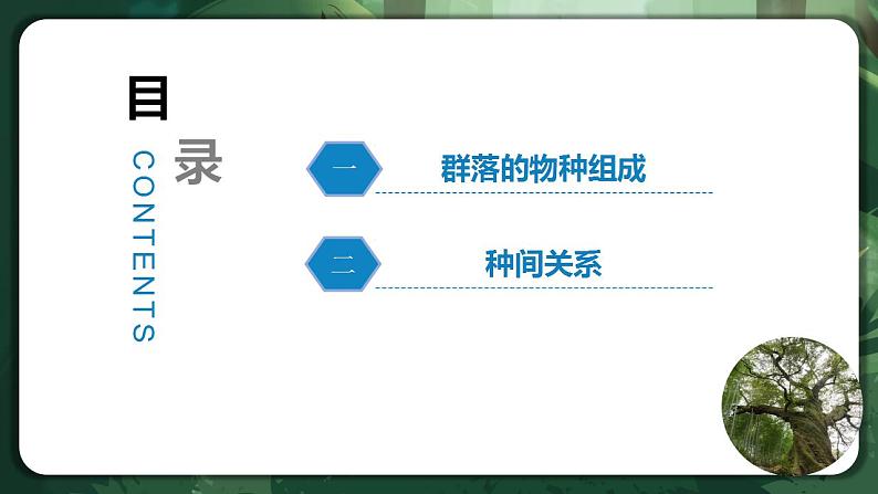 【名师特供】2.1《群落的结构》 课件+练习（原卷+解析卷）02