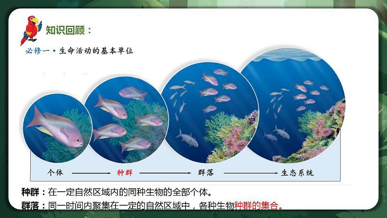 【名师特供】2.1《群落的结构》 课件+练习（原卷+解析卷）03