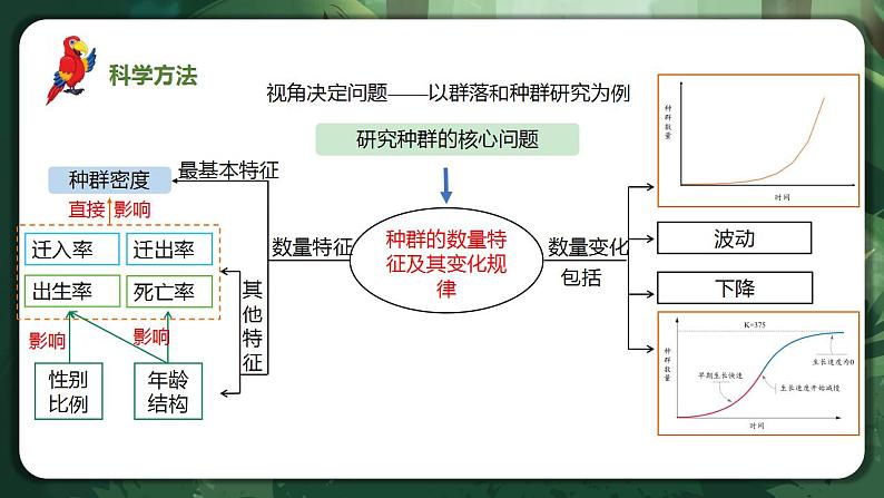 【名师特供】2.1《群落的结构》 课件+练习（原卷+解析卷）04
