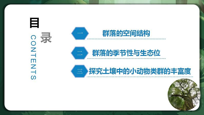【名师特供】2.1《群落的结构》 课件+练习（原卷+解析卷）02