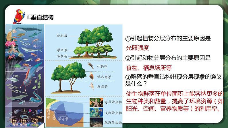 【名师特供】2.1《群落的结构》 课件+练习（原卷+解析卷）04