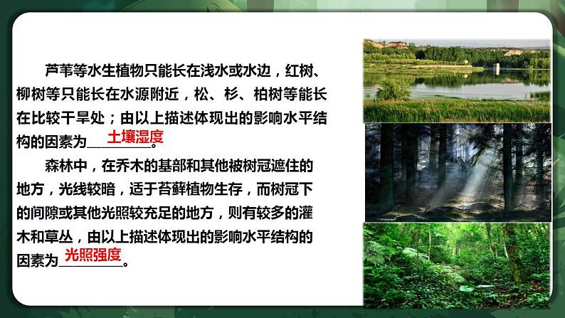 【名师特供】2.1《群落的结构》 课件+练习（原卷+解析卷）08