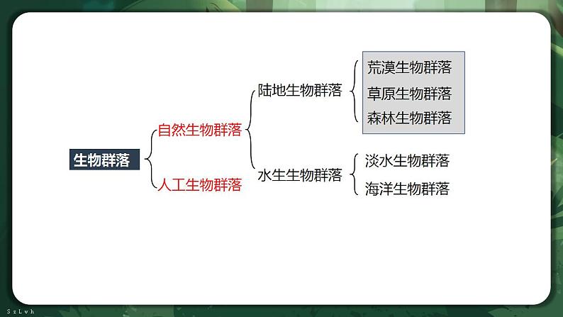 【名师特供】2.2《群落的主要类型》 课件第5页