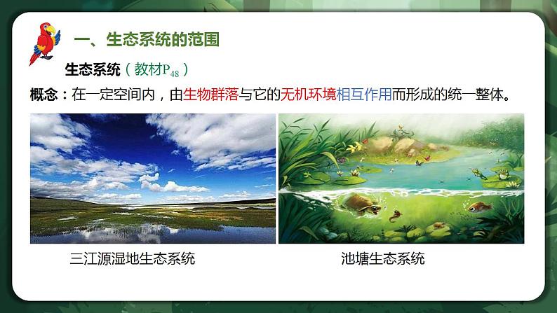 【名师特供】3.1《生态系统的结构 课件+练习（原卷+解析卷）04