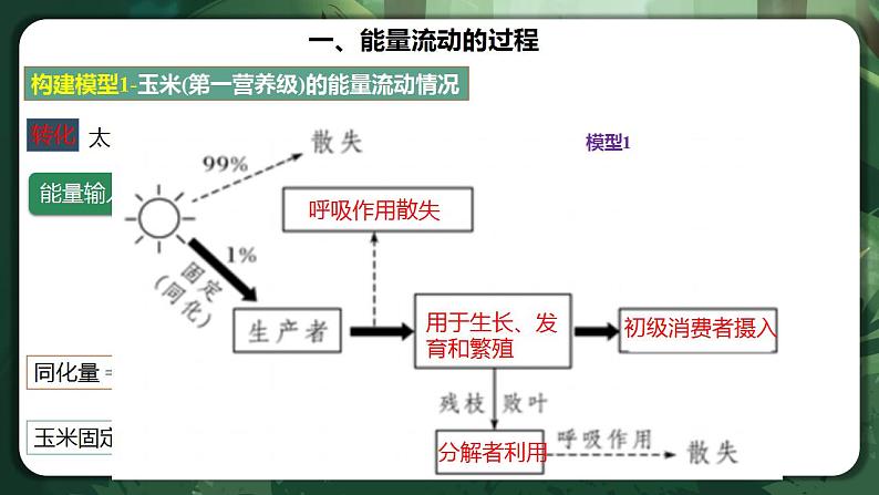 【名师特供】3.2.1《生态系统的能量流动（第1课时） 课件+练习（原卷+解析卷）07