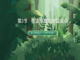 【名师特供】3.2.2《生态系统的能量流动（第2课时） 课件+练习（原卷+解析卷）