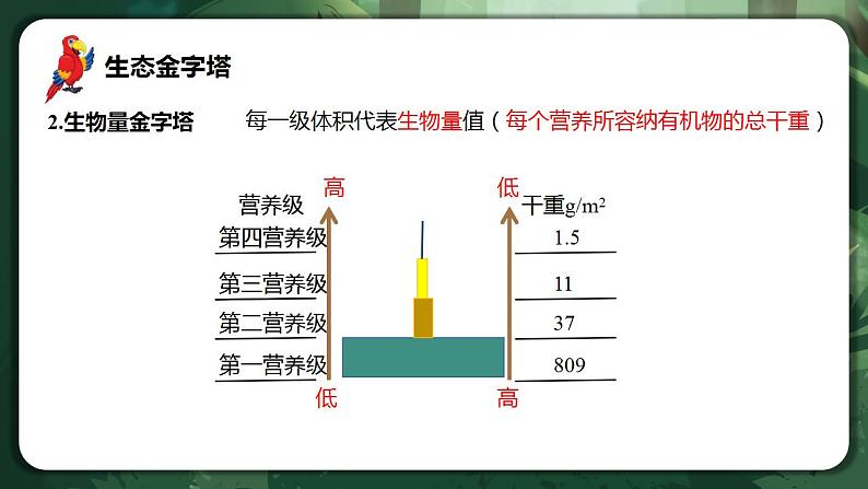 【名师特供】3.2.2《生态系统的能量流动（第2课时） 课件+练习（原卷+解析卷）03