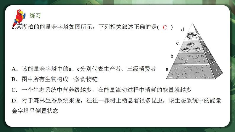 【名师特供】3.2.2《生态系统的能量流动（第2课时） 课件+练习（原卷+解析卷）08