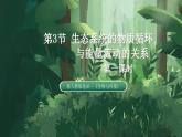 【名师特供】3.3.1《生态系统的物质循环（第1课时） 课件+练习（原卷+解析卷）