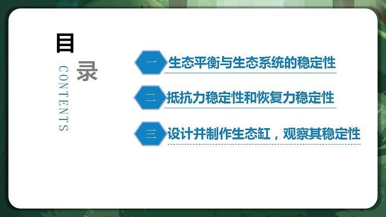 【名师特供】3.5《生态系统的稳定性》 课件+练习（原卷+解析卷）04