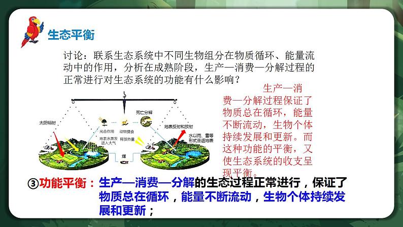 【名师特供】3.5《生态系统的稳定性》 课件+练习（原卷+解析卷）07