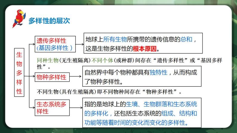 【名师特供】4.2《生物多样性及其保护》 课件+练习（原卷+解析卷）06