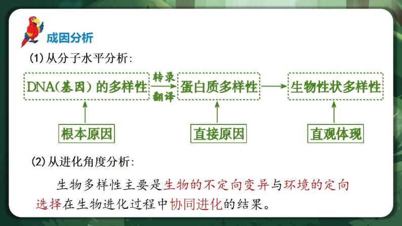 【名师特供】4.2《生物多样性及其保护》 课件+练习（原卷+解析卷）07